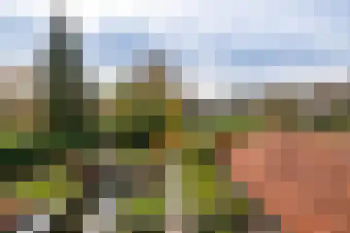 Berglaan 3 Doetinchem thumbnail 39