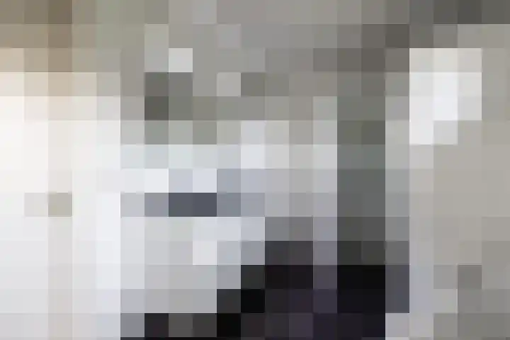 Berglaan 3 Doetinchem thumbnail 41