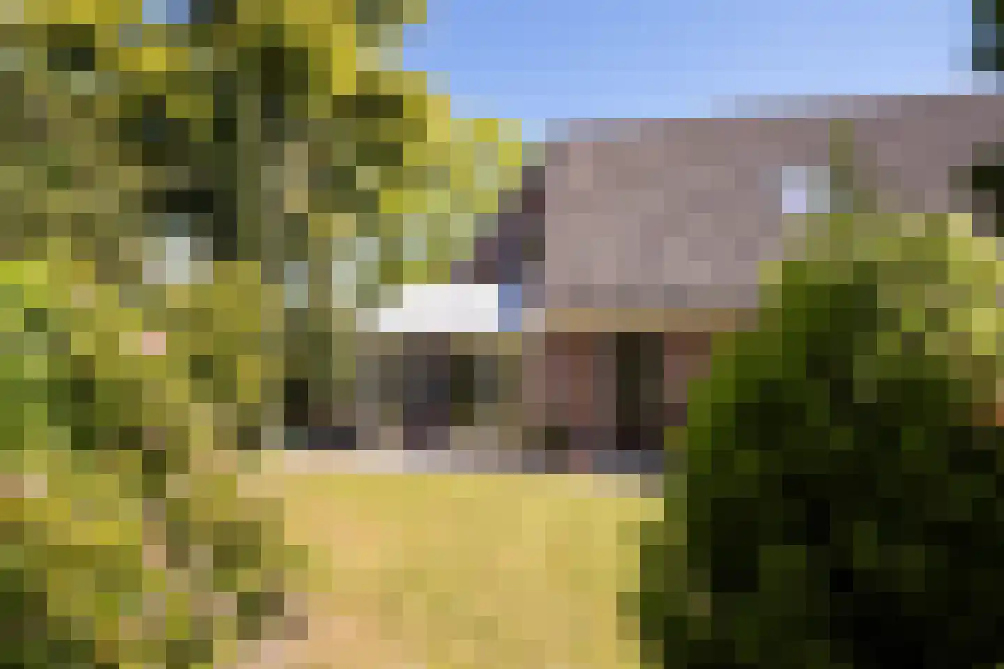 Berglaan 39 Woensdrecht thumbnail 30