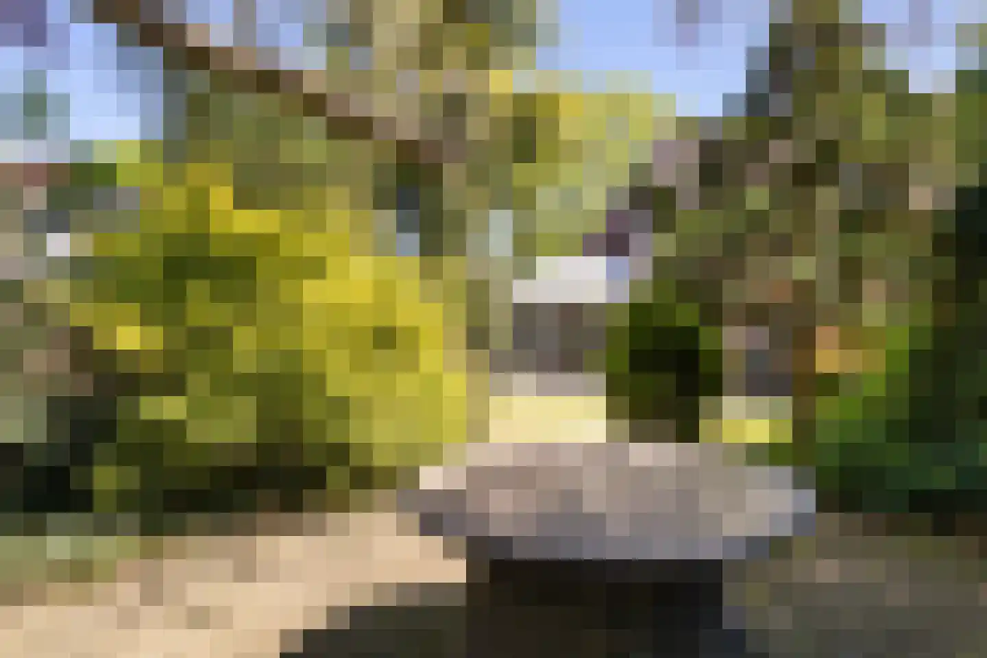 Berglaan 39 Woensdrecht thumbnail 31