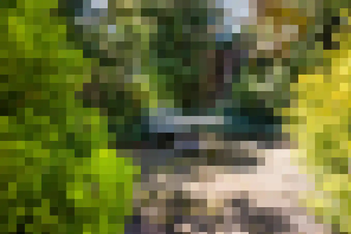 Berglaan 39 Woensdrecht thumbnail 32