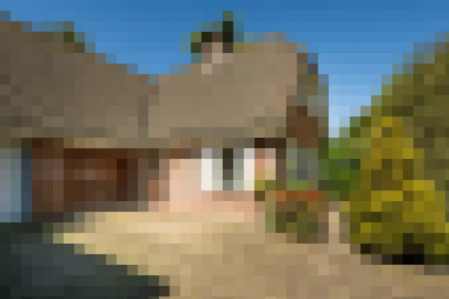 Berglaan 39 Woensdrecht thumbnail 36