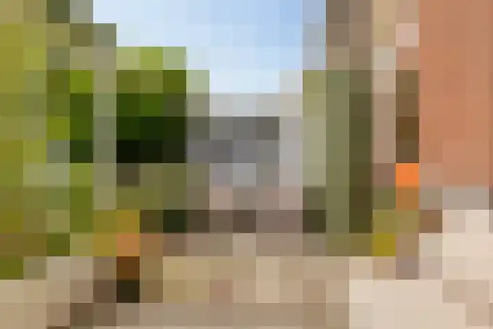 Berglaan 48 Zoetermeer thumbnail 17
