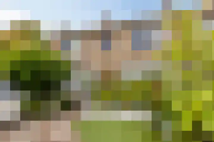 Berglaan 48 Zoetermeer thumbnail 20