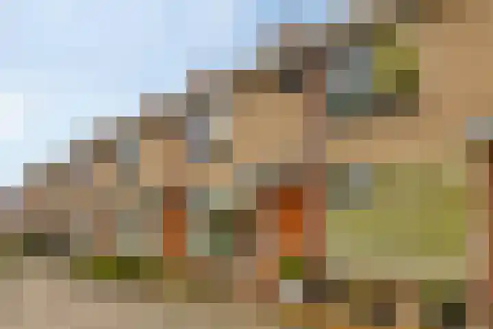 Berglaan 48 Zoetermeer thumbnail 32