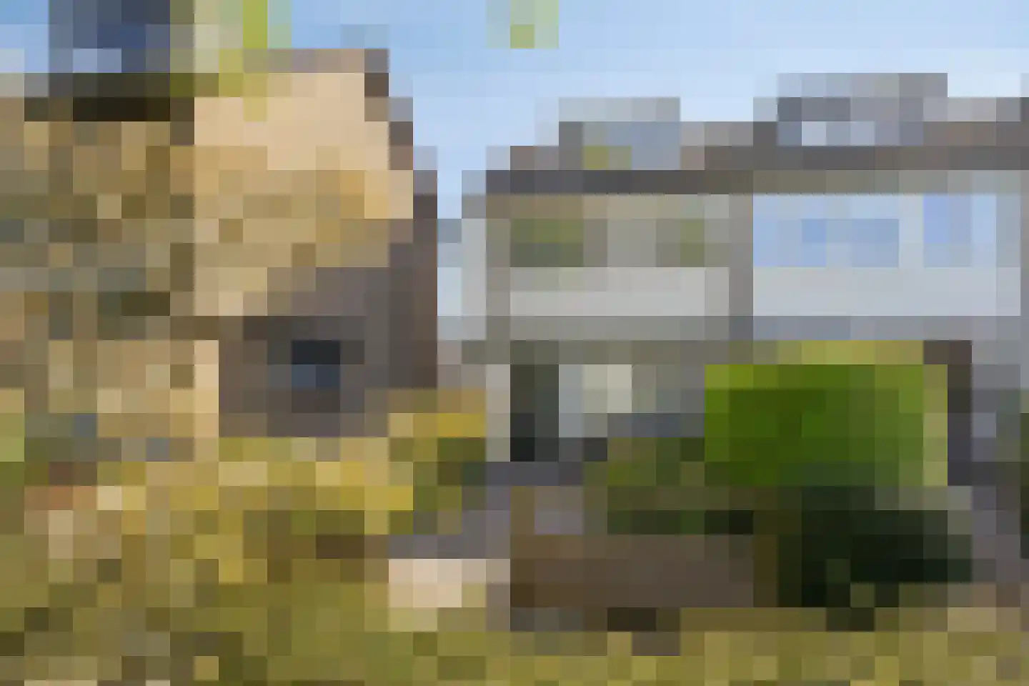 Berglaan 62 Zoetermeer thumbnail 4