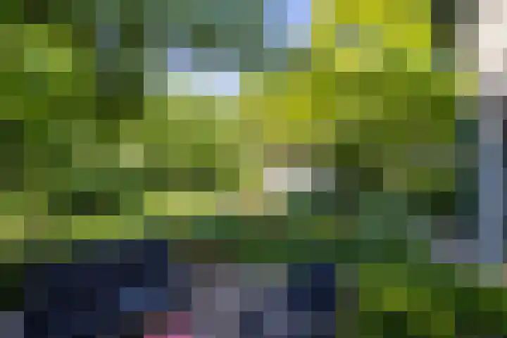 Berglaan 9 Doetinchem thumbnail 24