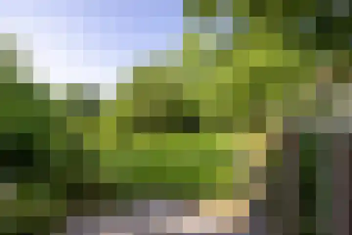 Berglaan 9 Doetinchem thumbnail 26