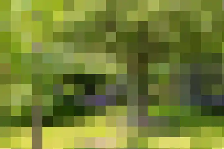 Berglaan 9 Doetinchem thumbnail 30