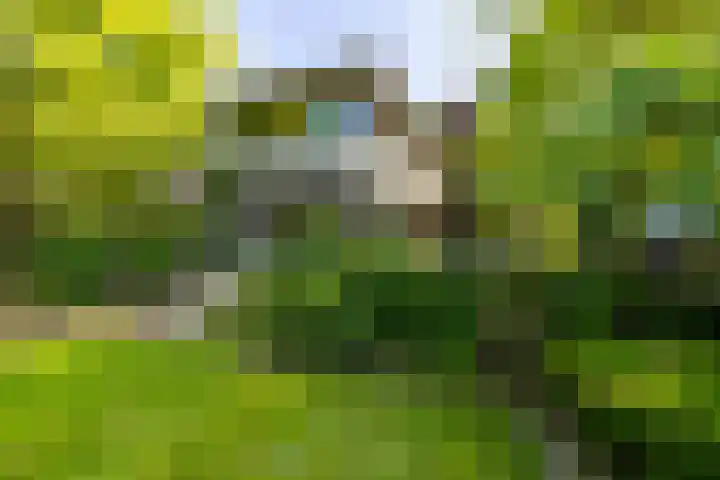 Berglaan 9 Doetinchem thumbnail 32