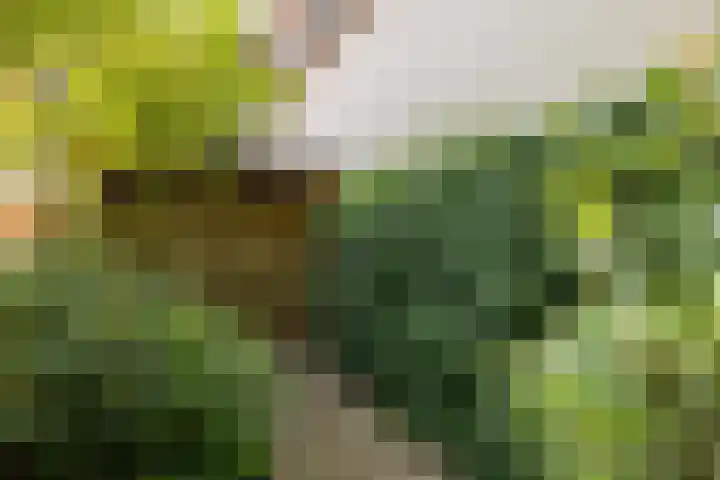 Berglaan 9 Doetinchem thumbnail 33