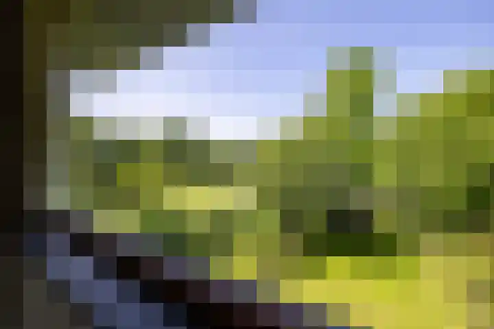 Berglaan 9 Doetinchem thumbnail 39