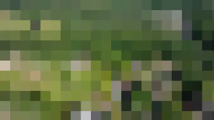Berglaan 9 Doetinchem thumbnail 61