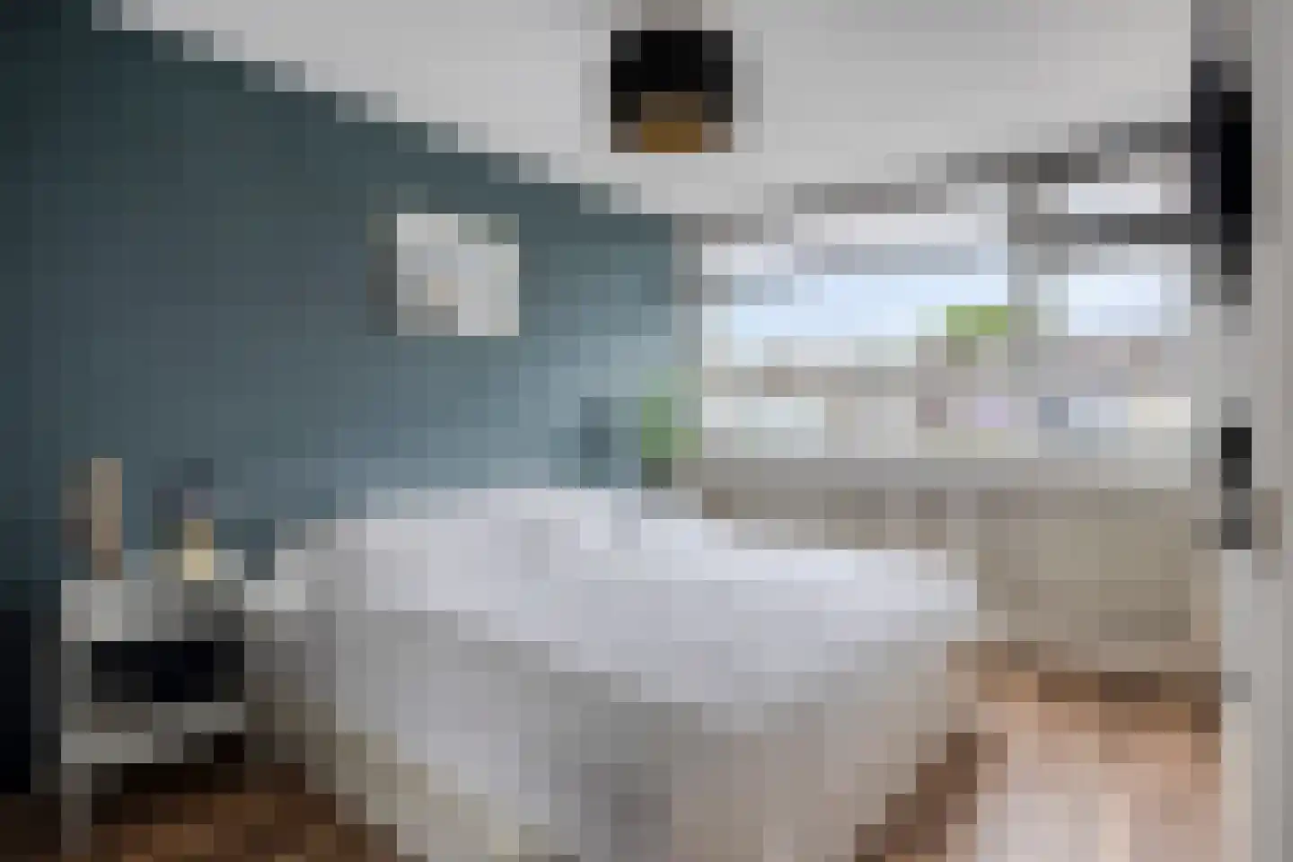Berglaan 92 Zoetermeer thumbnail 20