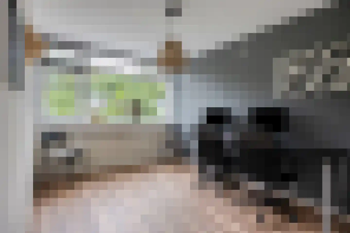 Berglaan 92 Zoetermeer thumbnail 22
