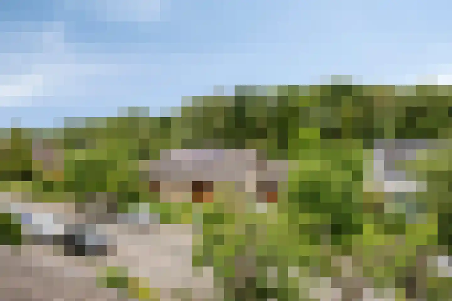 Berglaan 92 Zoetermeer thumbnail 39