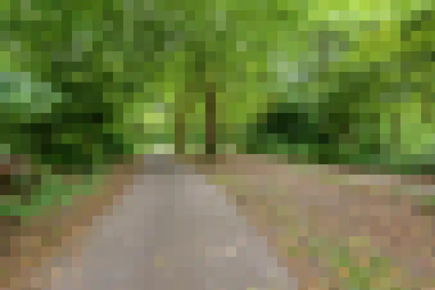 Berglaan 92 Zoetermeer thumbnail 43