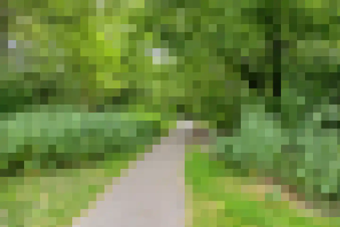 Berglaan 92 Zoetermeer thumbnail 45