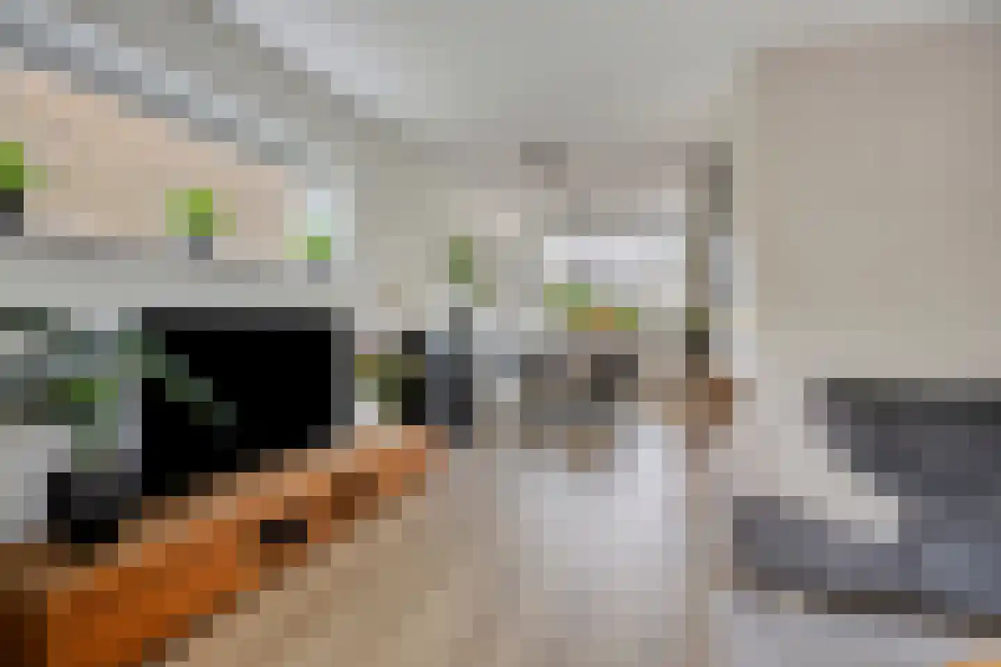 Berglaan 92 Zoetermeer thumbnail 8