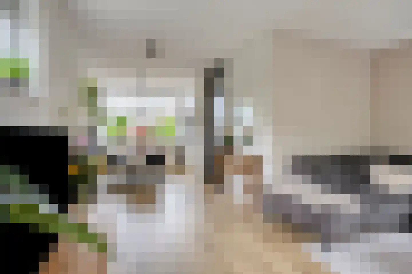 Berglaan 92 Zoetermeer thumbnail 9