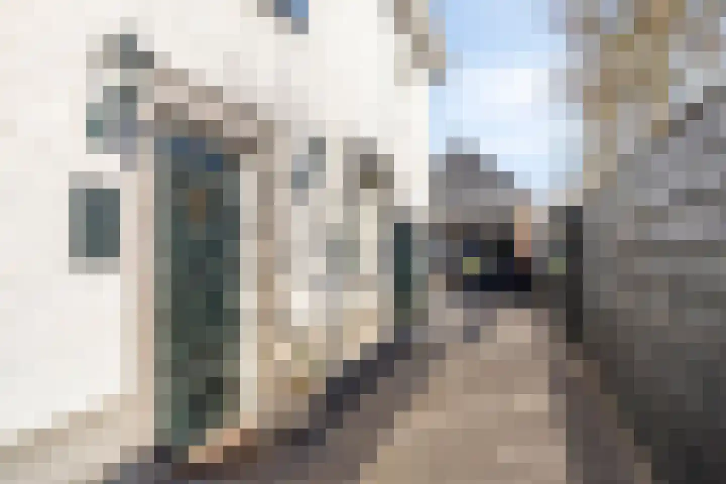 Berglarenstraat 32 Gemert thumbnail 10