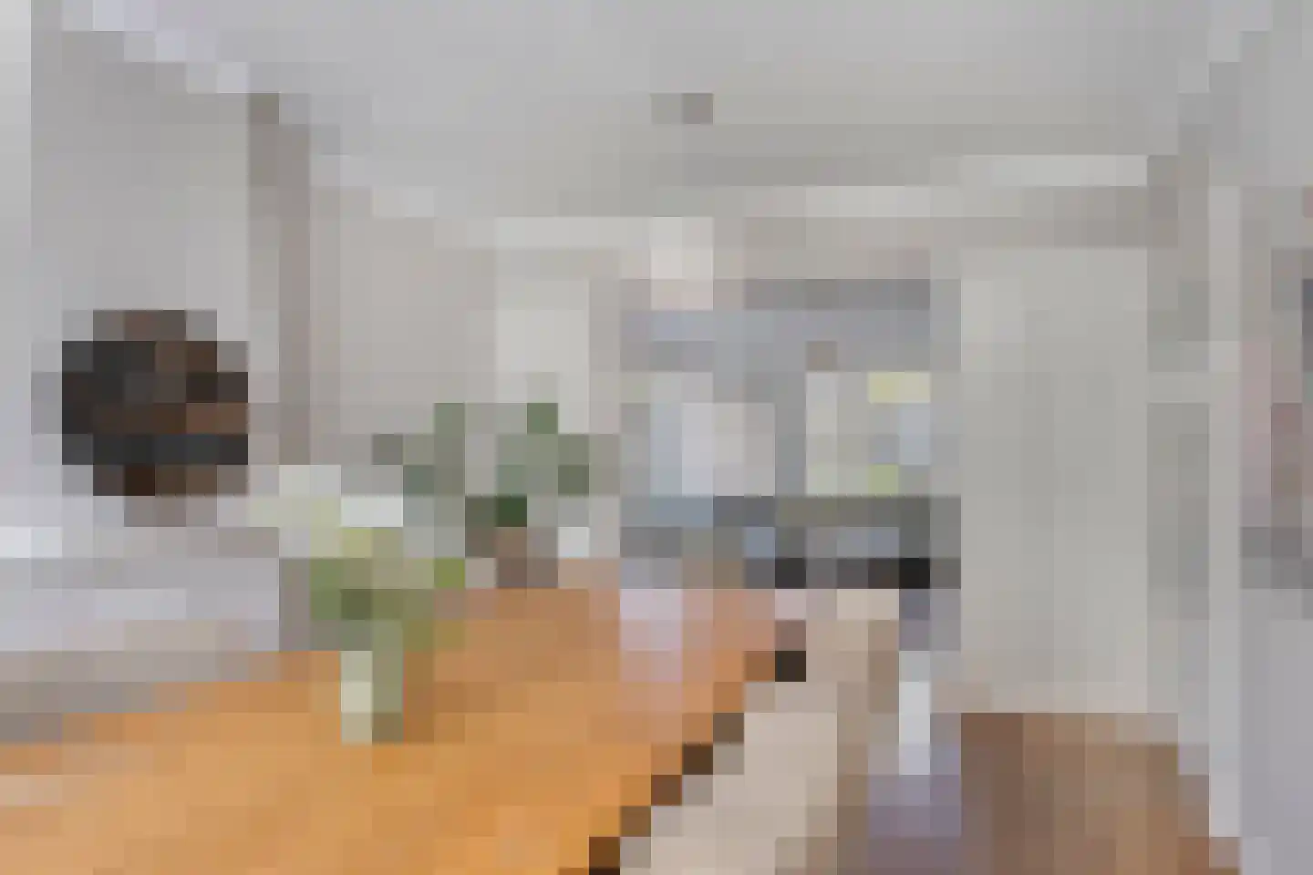 Berglarenstraat 32 Gemert thumbnail 15