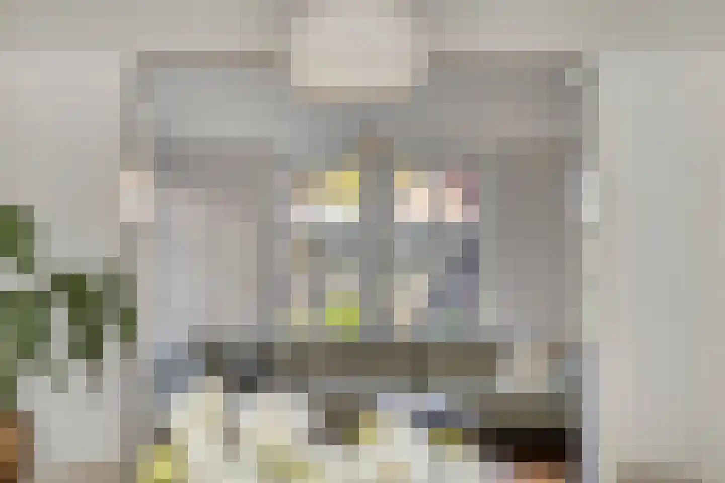Berglarenstraat 32 Gemert thumbnail 18