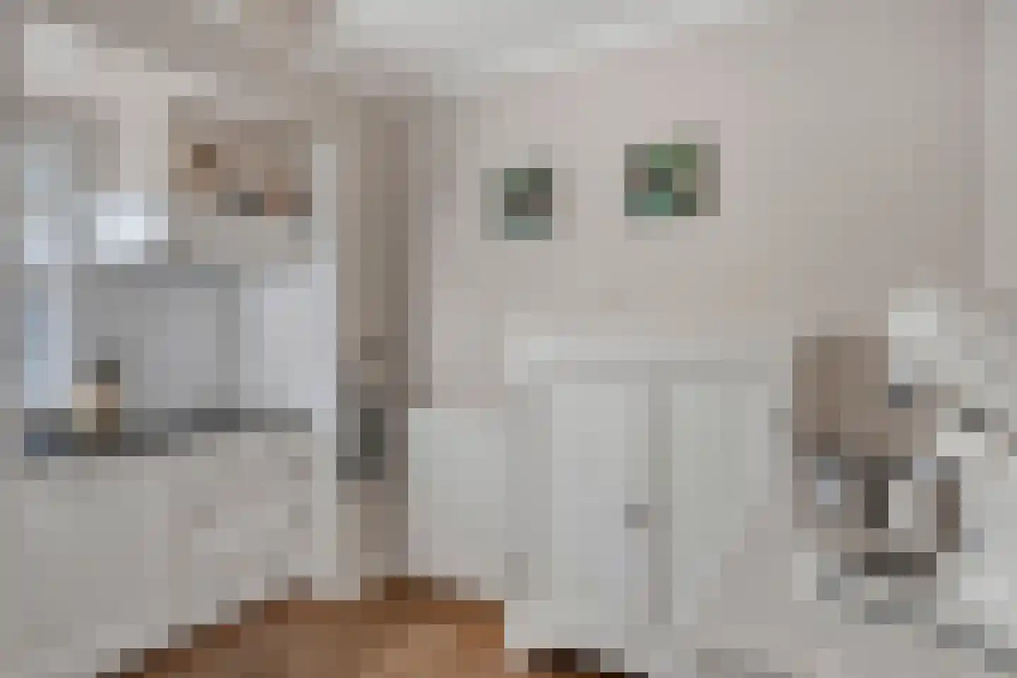 Berglarenstraat 32 Gemert thumbnail 19