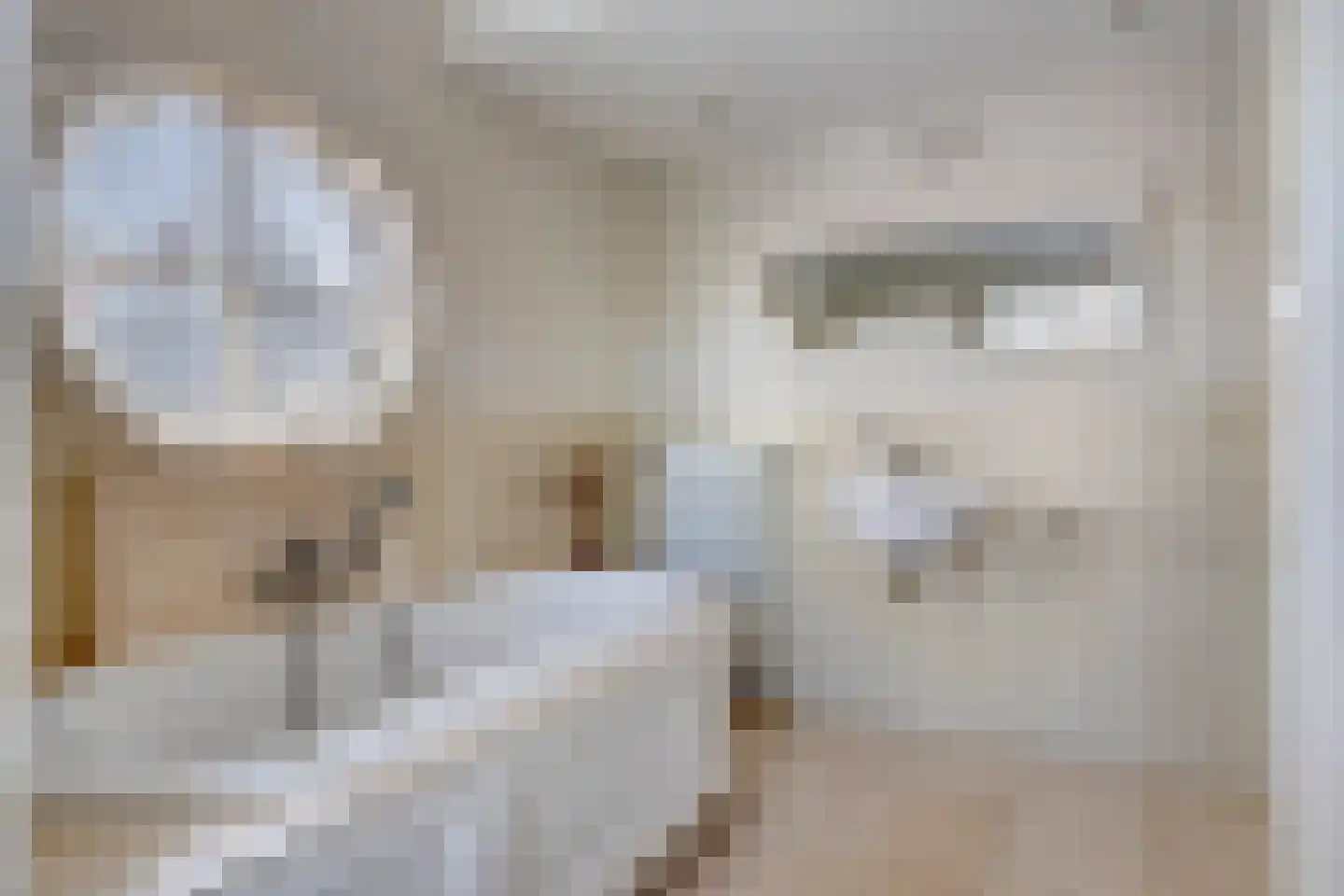 Berglarenstraat 32 Gemert thumbnail 31