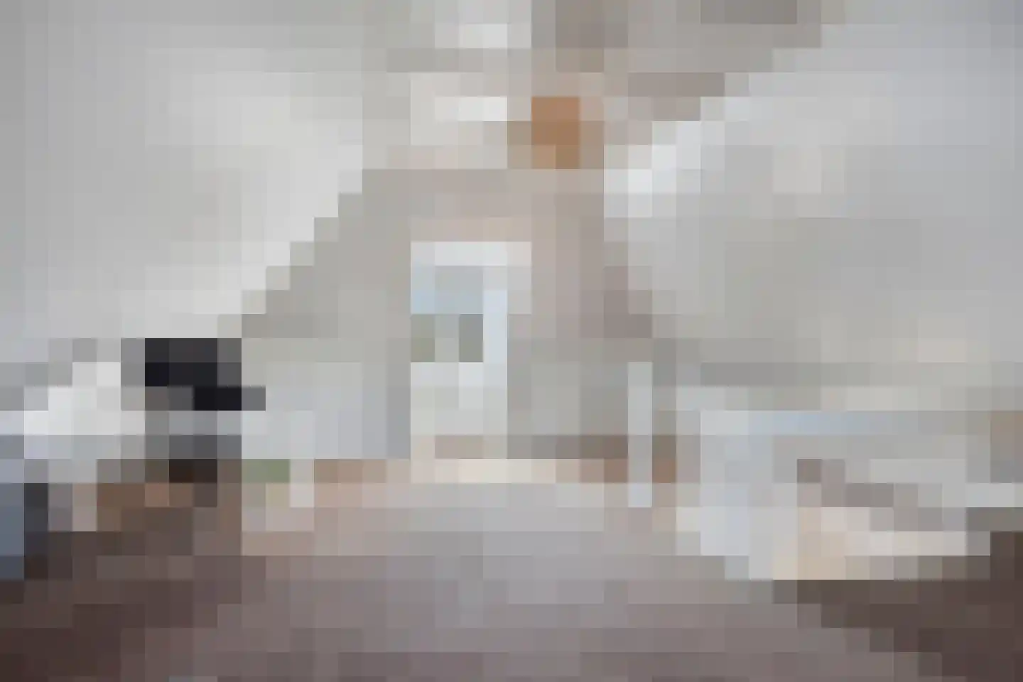 Berglarenstraat 32 Gemert thumbnail 42