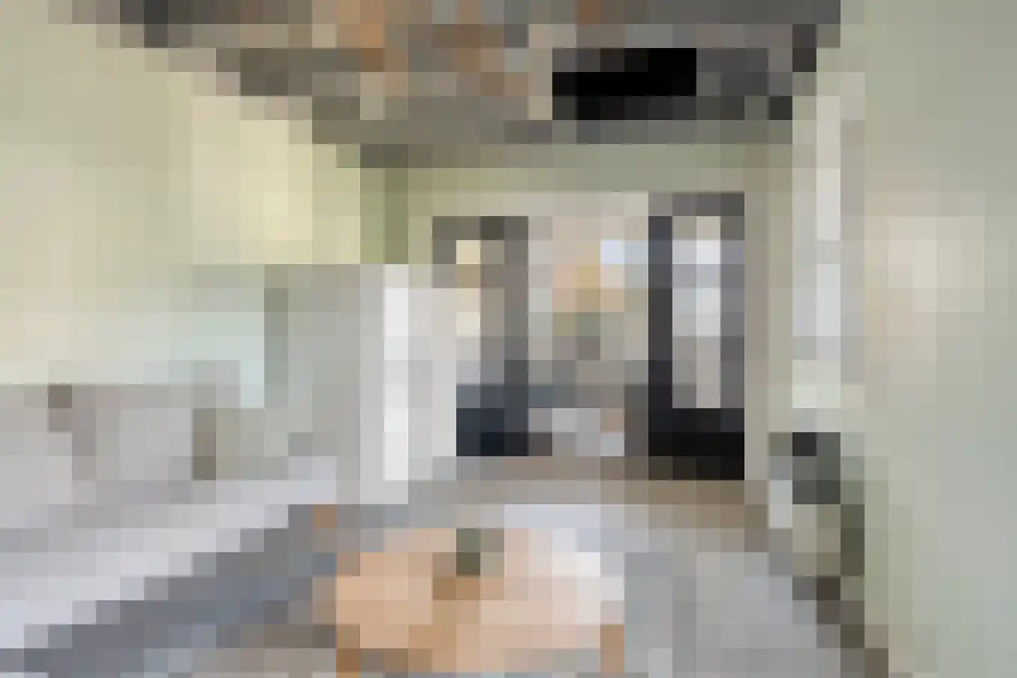 Berglarenstraat 32 Gemert thumbnail 44