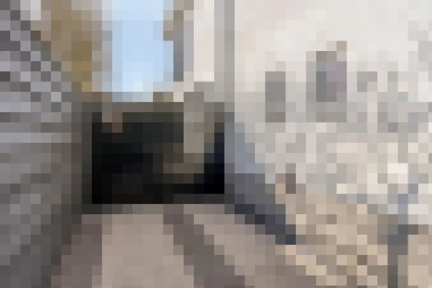Berglarenstraat 32 Gemert thumbnail 45