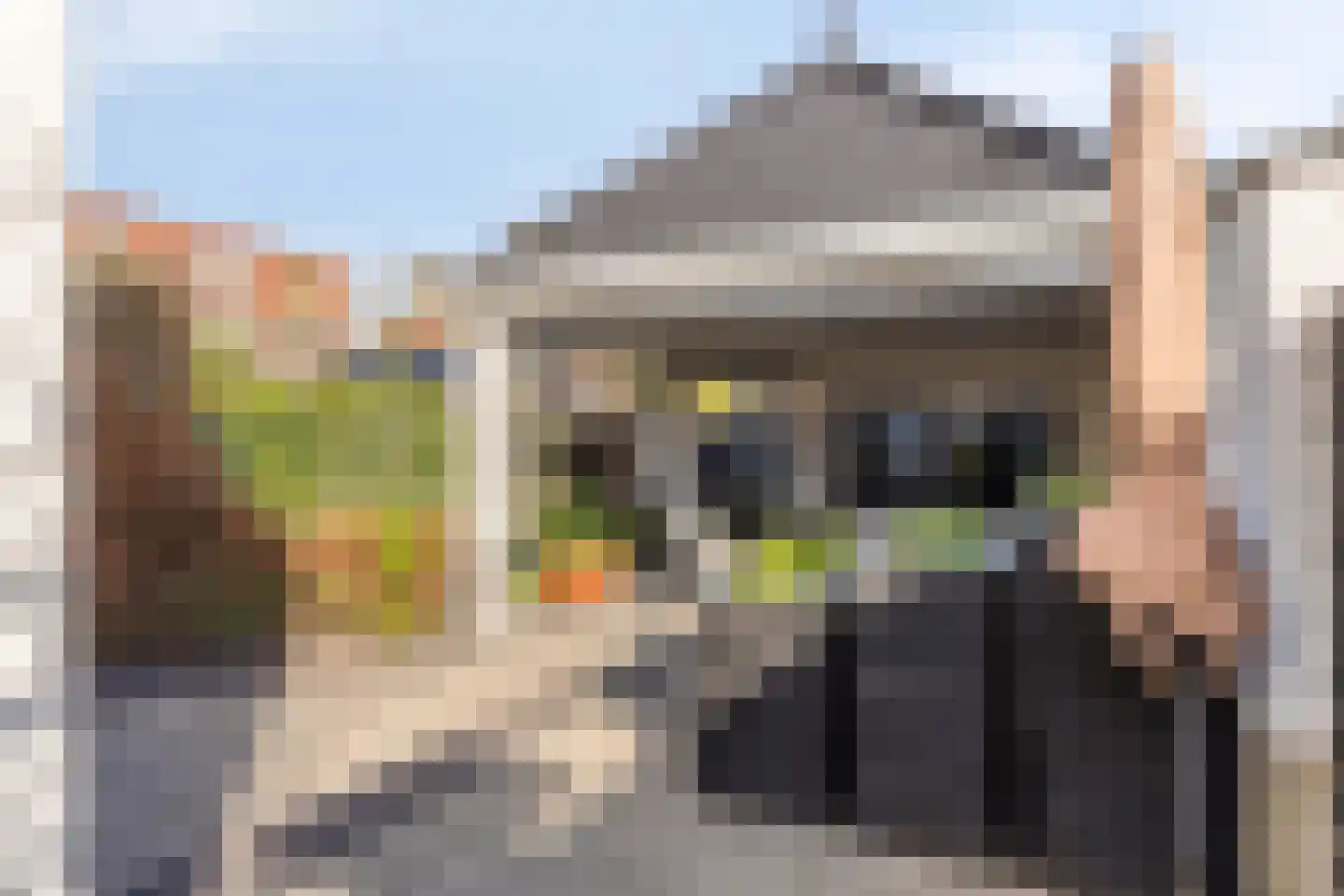 Berglarenstraat 32 Gemert thumbnail 46