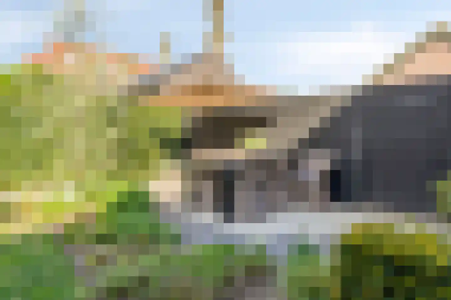 Berglarenstraat 32 Gemert thumbnail 51
