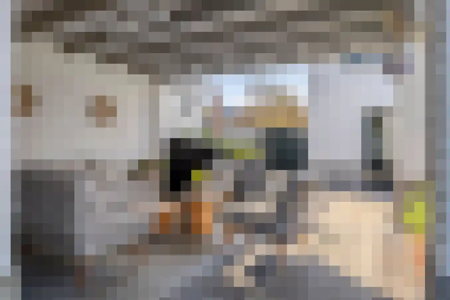 Berglarenstraat 32 Gemert thumbnail 52