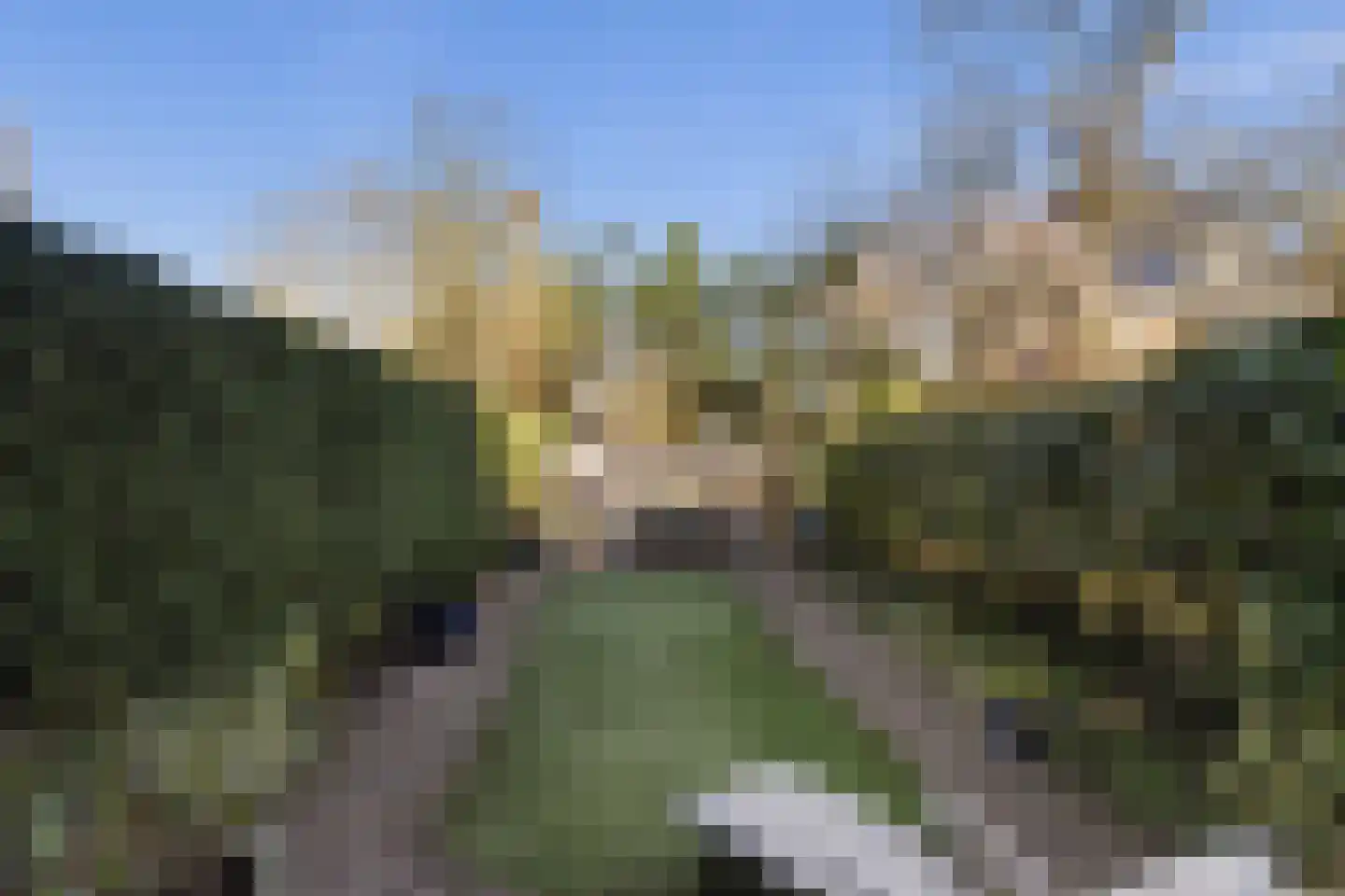 Berglustlaan 10 Rotterdam thumbnail 15