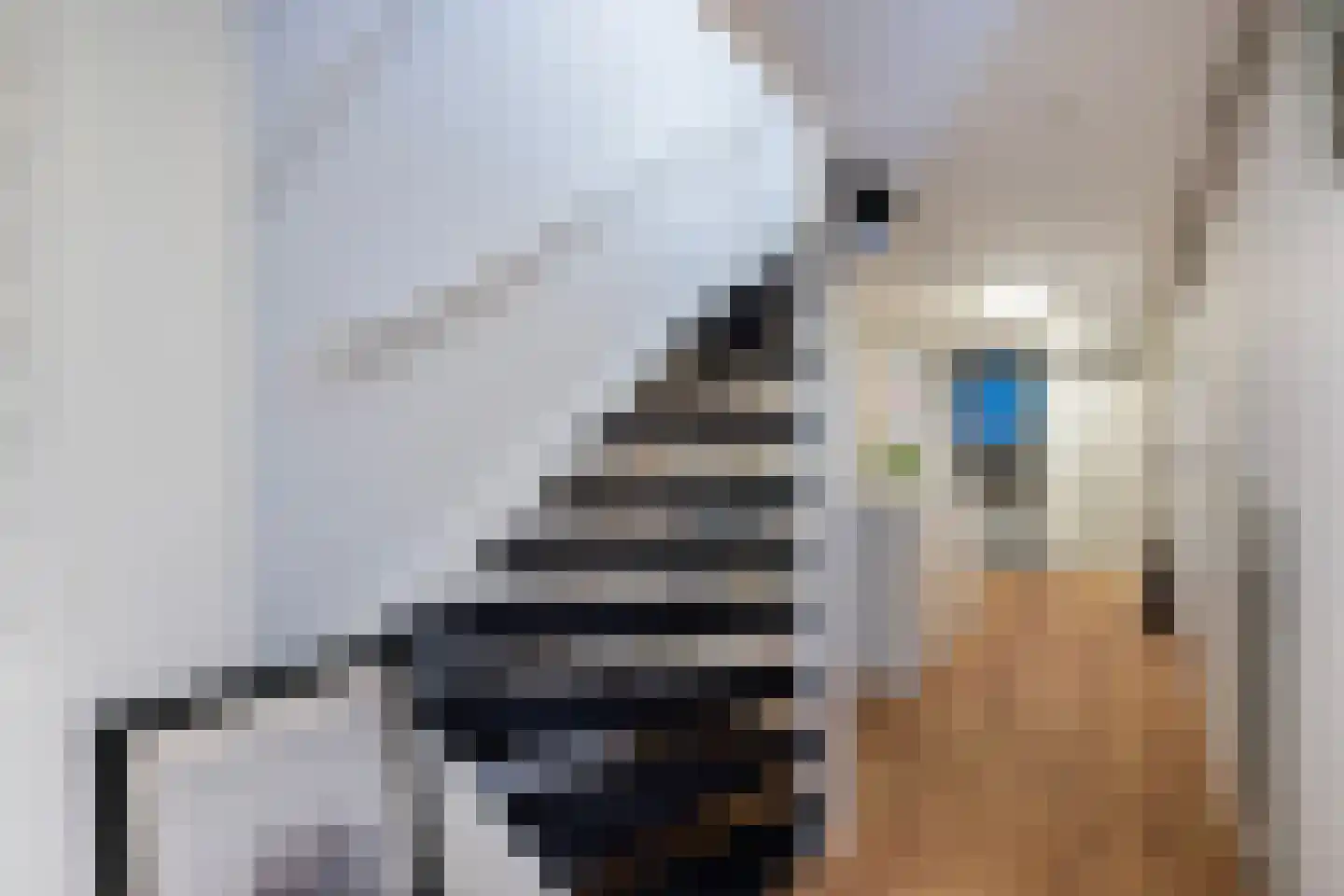 Berglustlaan 10 Rotterdam thumbnail 32