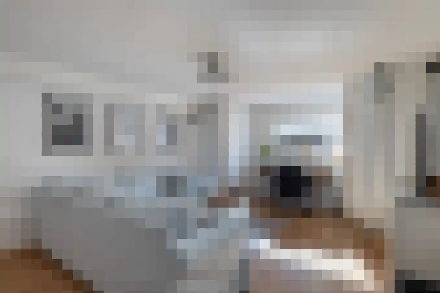 Berglustlaan 10 Rotterdam thumbnail 33