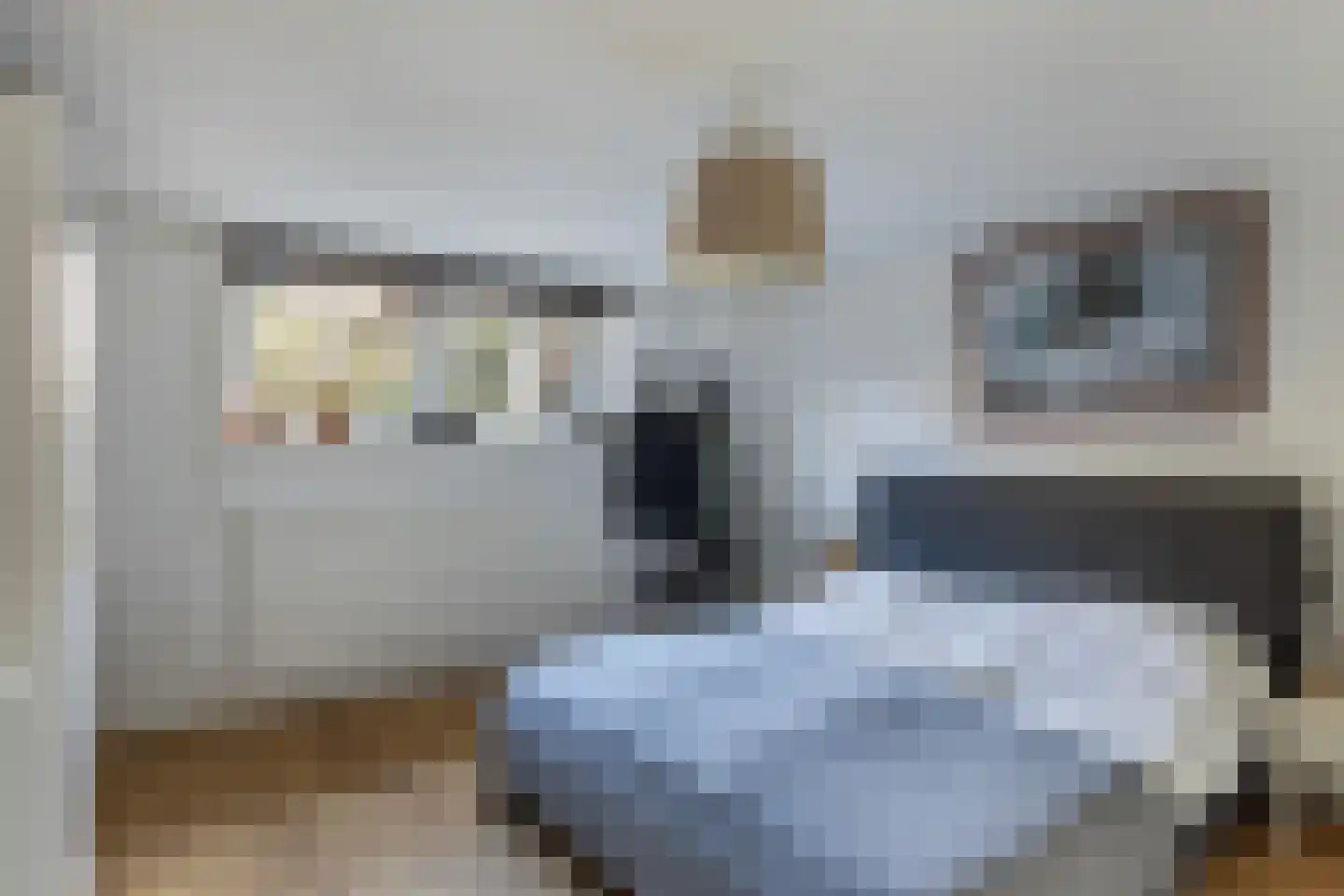 Berglustlaan 10 Rotterdam thumbnail 34