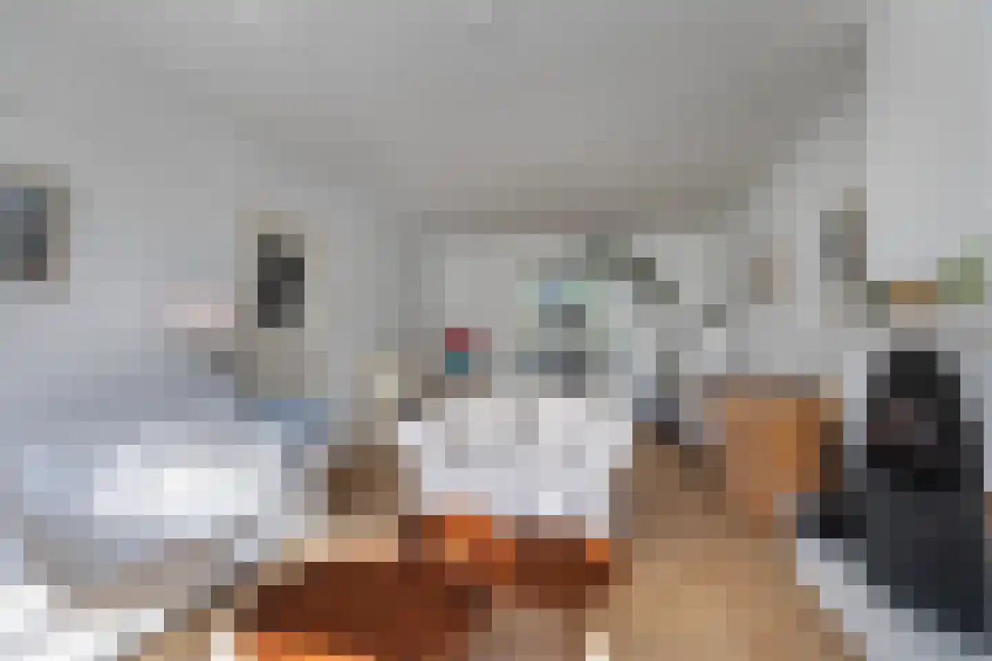 Berglustlaan 10 Rotterdam thumbnail 6