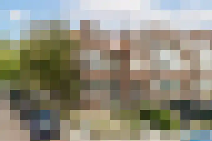 Berglustlaan 14 B Rotterdam thumbnail 31
