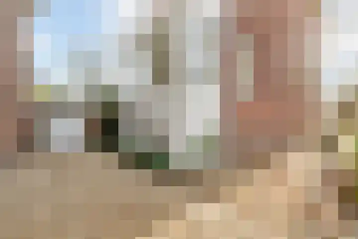 Berglustlaan 14 D Rotterdam thumbnail 31