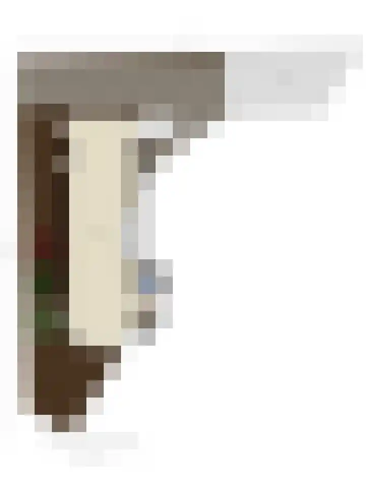 Berglustlaan 14 D Rotterdam thumbnail 39