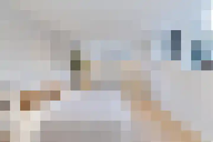 Berglustlaan 14 D Rotterdam thumbnail 4