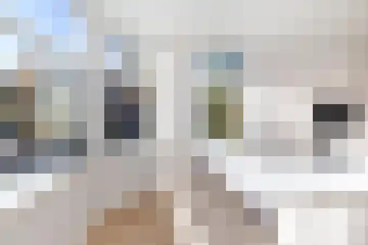 Berglustlaan 14 D Rotterdam thumbnail 6