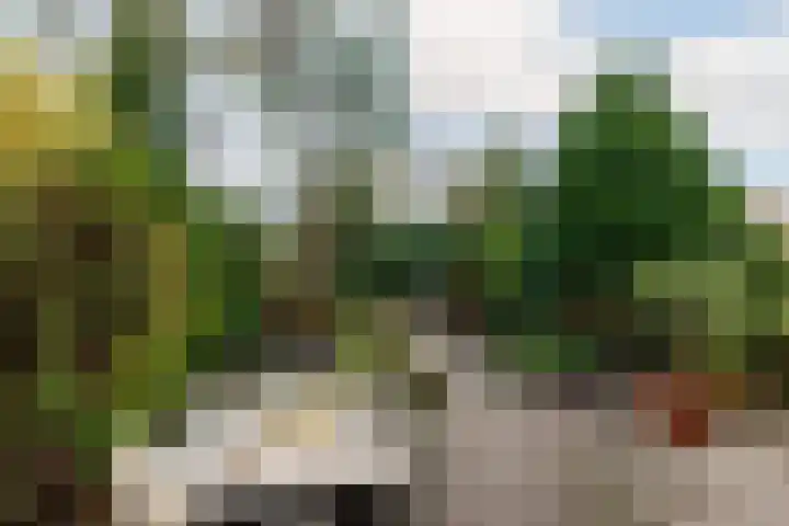 Berglustlaan 56 A Rotterdam thumbnail 15