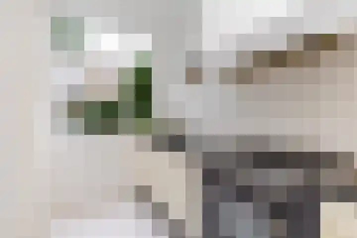 Berglustlaan 56 A Rotterdam thumbnail 31