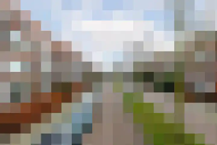 Berglustlaan 56 A Rotterdam thumbnail 64