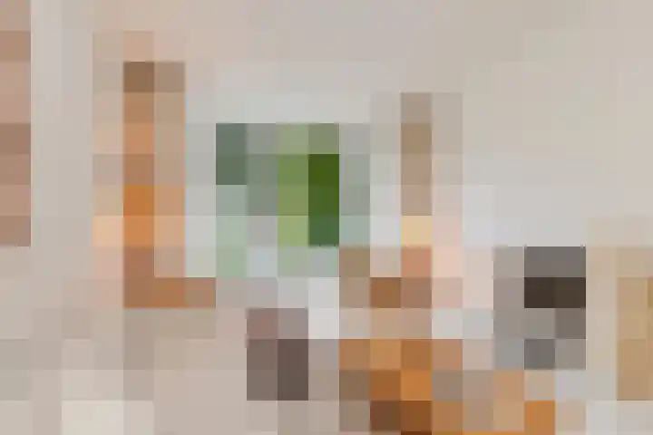 Berglustlaan 56 A Rotterdam thumbnail 8