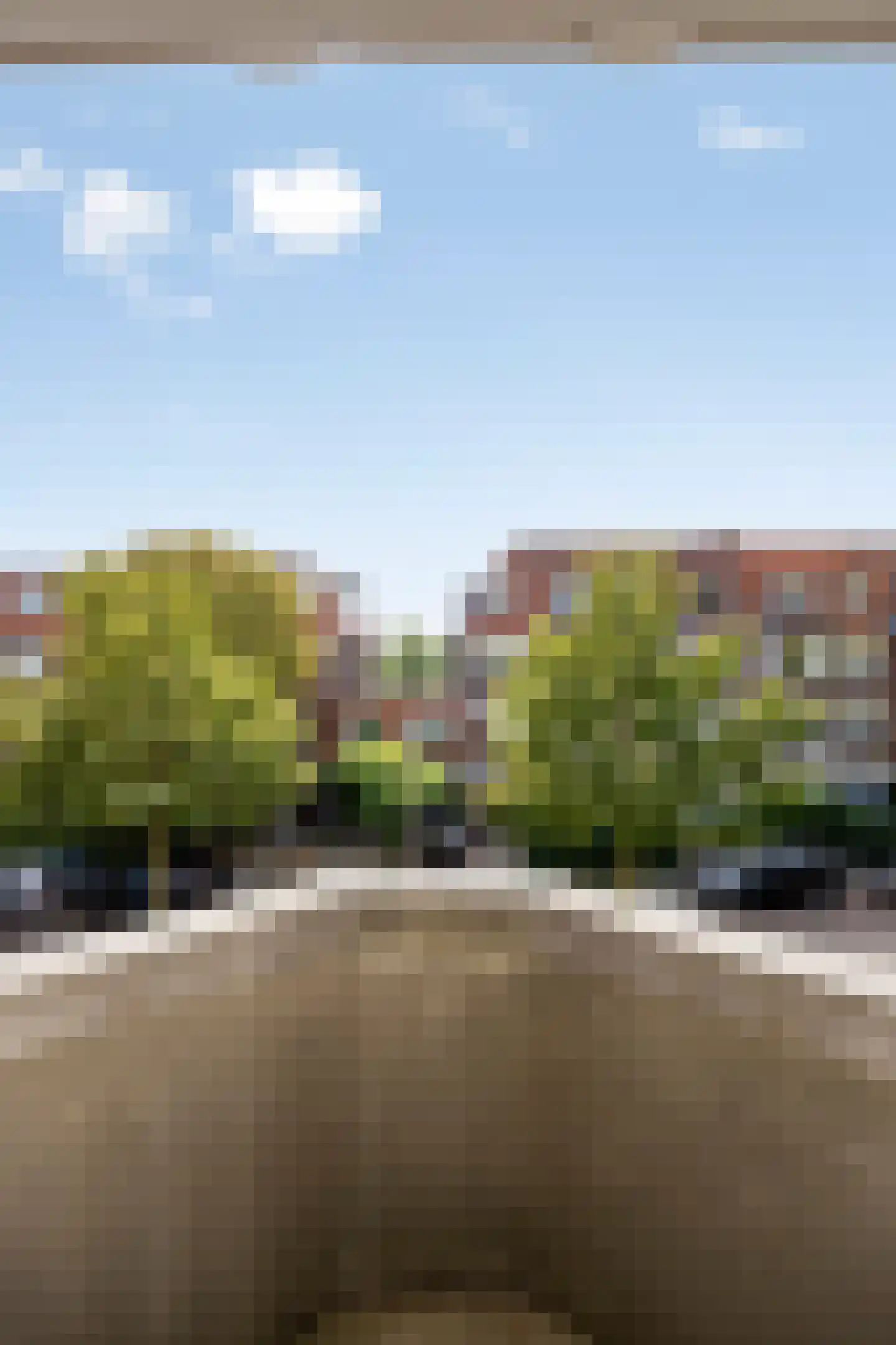 Berglustlaan 60 B 02 Rotterdam thumbnail 10